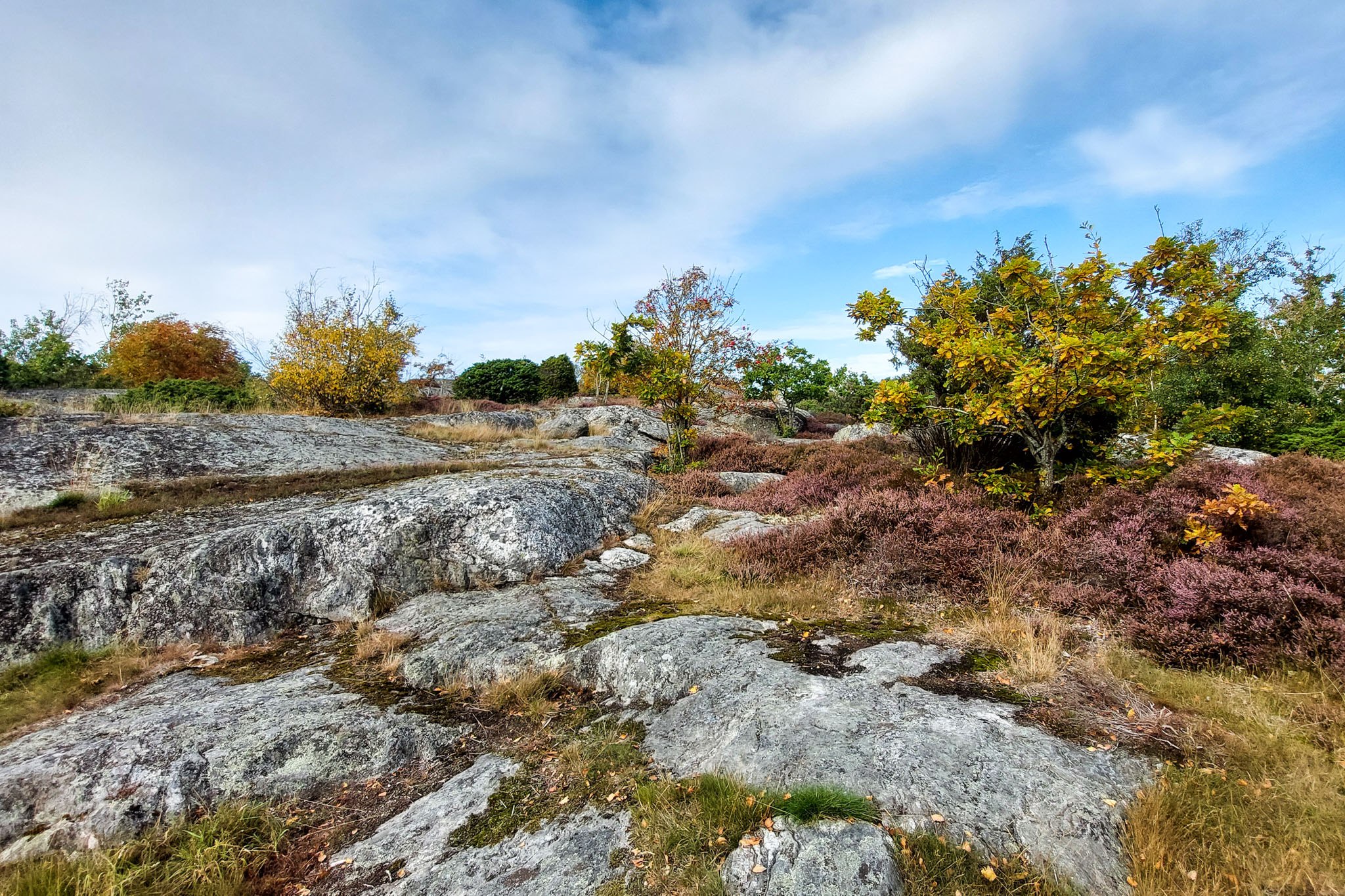 Flache Felsen und viele Gräser auf dem ersten Teil der Wanderung