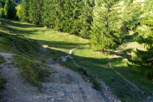 Hier gehen wir hinunter zum Bach