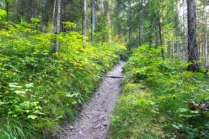 Noch ist der Weg flach