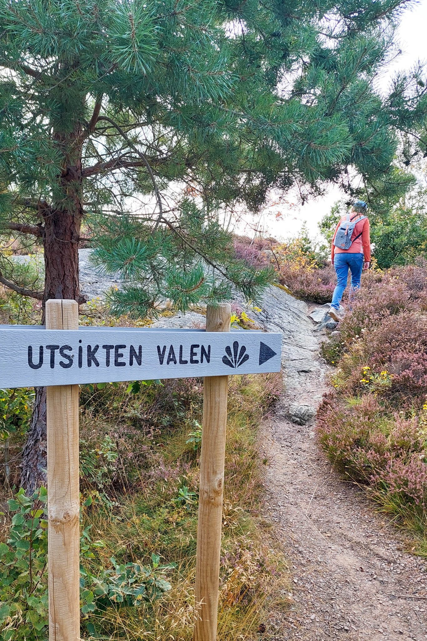 Am Abzweig zum Aussichtspunkt