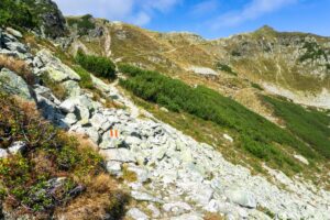 Eine kurze Stelle führt der Weg über ein kleines Blockfeld