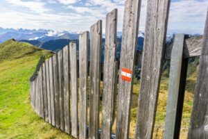 Immer am Zaun entlang