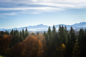Bergblick vom Biergarten mit dem Wendelstein in der Mitte