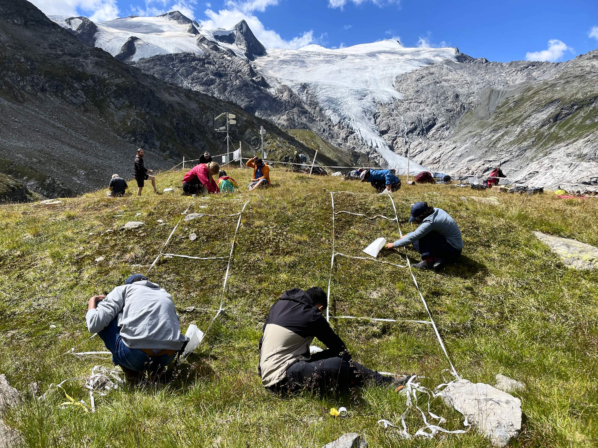 Erforschung der Vegetation unterhalb von Großvenediger und Schlatenkees - Foto: Tyrolia Verlag