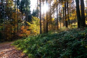 Wir nähern uns dem Sonnenschein