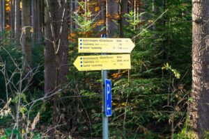 Links oder rechts entlang? Die Ziele sind dieselben. Heute nach rechts