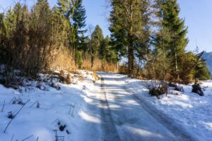 Aufstieg auf breitem Weg zum Berggasthaus St. Martin