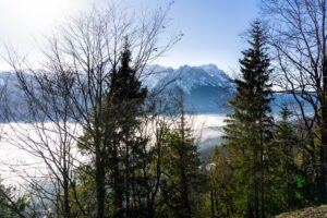 Der Blick auf die Zugspitze, zwischen den Bäumen hindurch