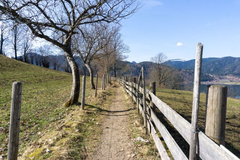 Auf dem Oberleiten Wanderweg