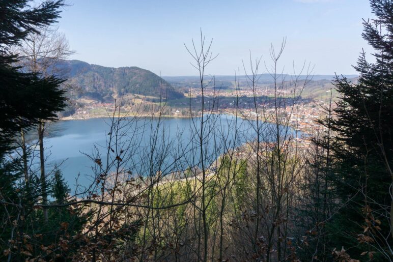 Ausblick aus dem Wald auf den nördllichen Schliersee