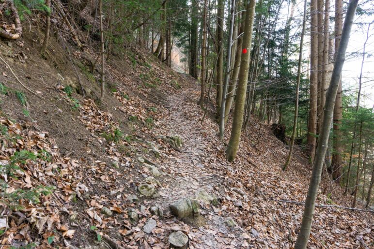 Nach dem Abzweig wird der Weg deutlich schmaler