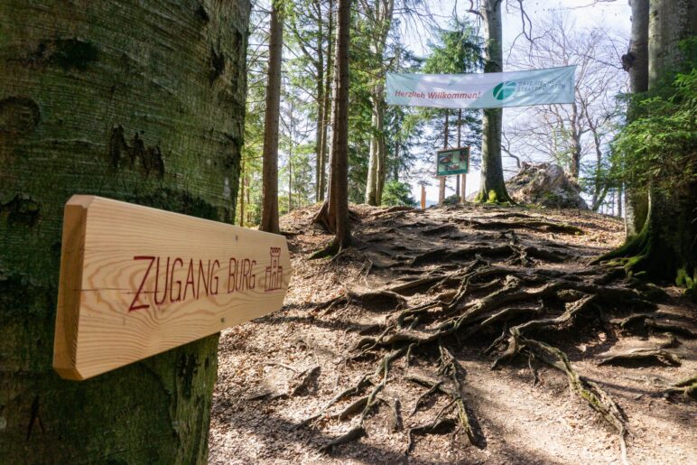 Hier geht es zur Burgruine