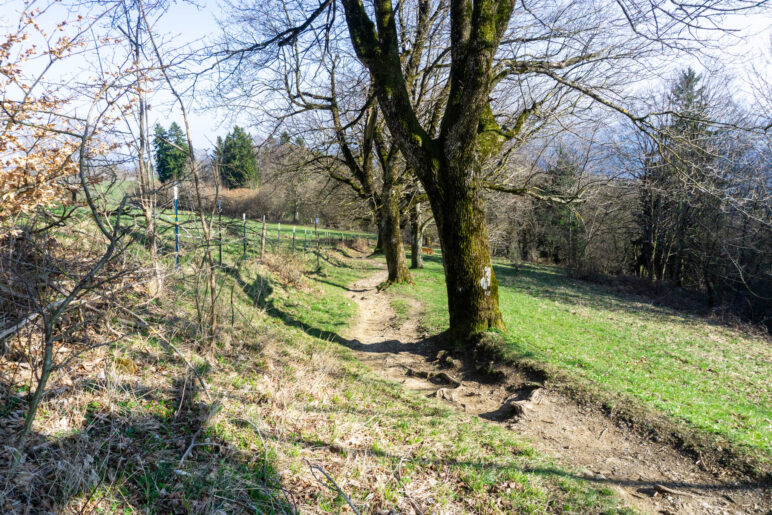 Auf dem Weg nach Hohenpeißenberg