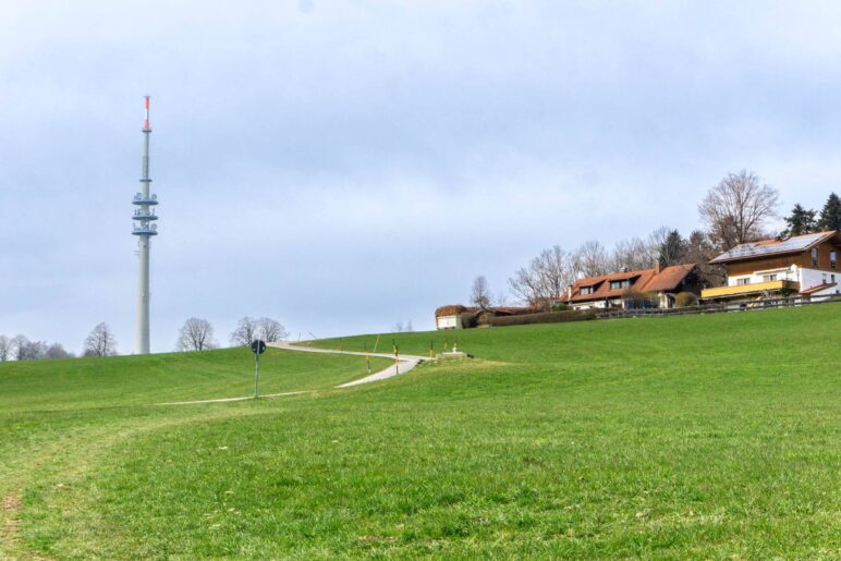 Über die Wiesen nach Oberschwaig, den Fernsehturm immer im Blick