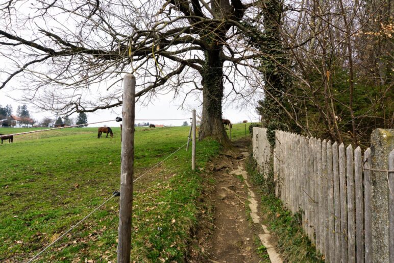 Von der Straße führt dieser Weg rechts ab nach Oberschwaig