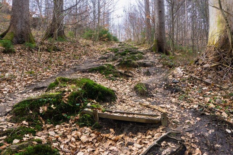 Bergauf über Stufen und Wurzeln