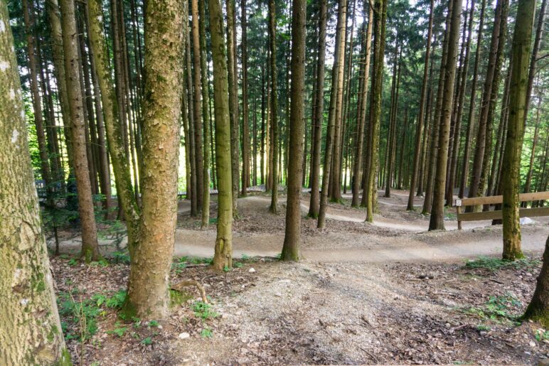 Immer wieder sehen wir Biketrails