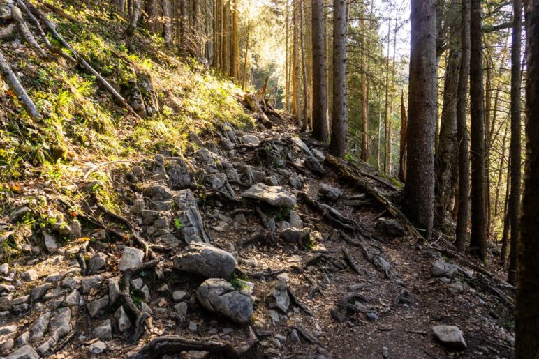 Auf dem Weg vom Spitzingsattel zur Schönfeldhütte