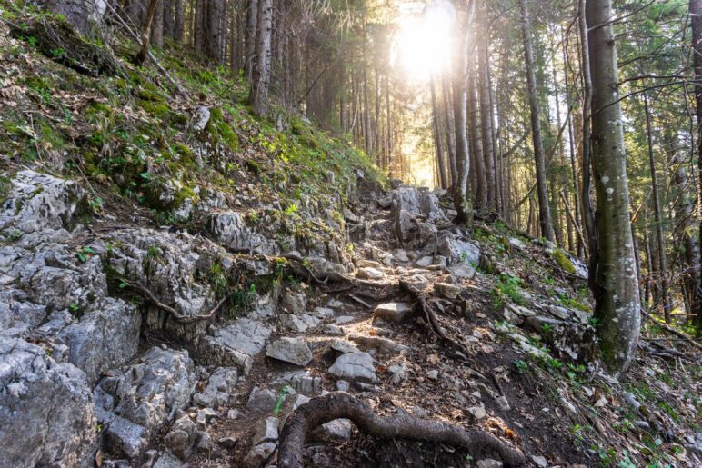 Zum ersten Mal sehen wir die Sonne. Bisher verlief der Aufstieg im Schatten