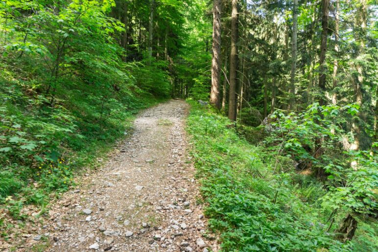Der weitere Weg ist leicht zu gehen und führt in mehreren Schwüngen leicht bergauf