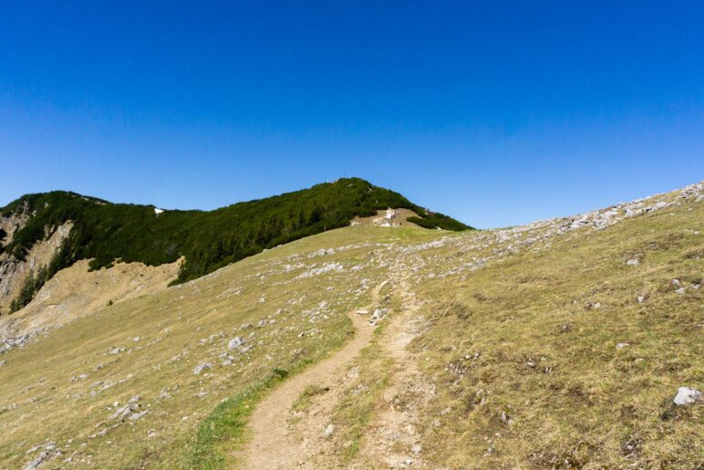 Auf breitem Weg zum Plateau