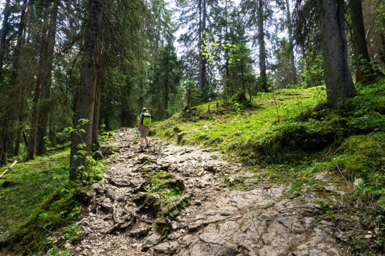 Zunächst führt der Weg sehr felsig bergauf