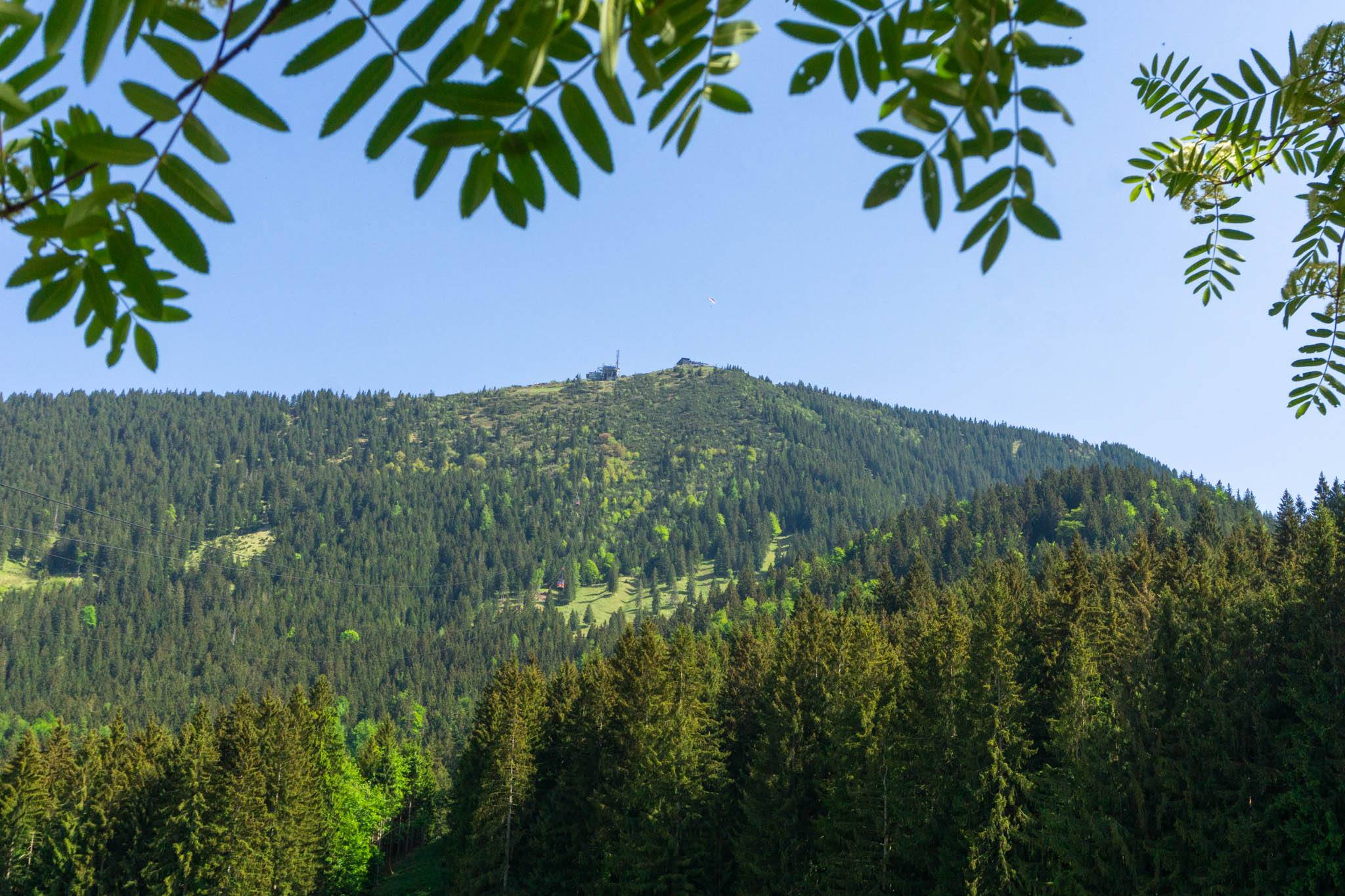 Der Gipfel der Hochries, von der Mittelstation der Hochriesbahn aus gesehen.