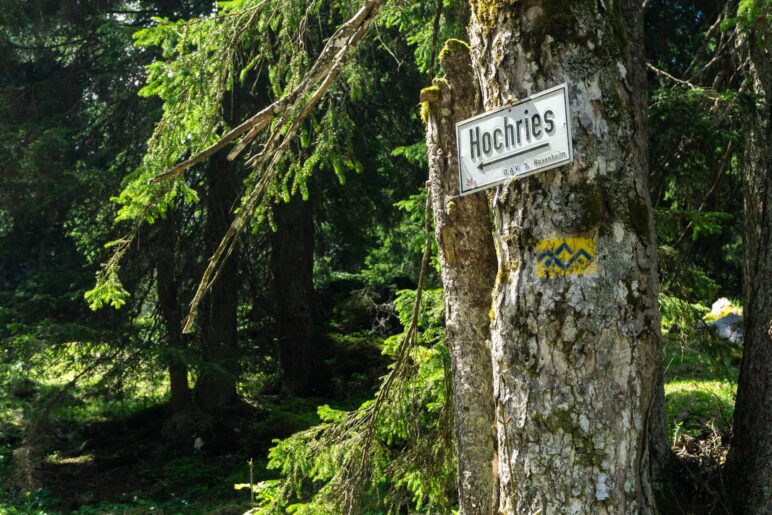 Alles klar, hier geht's auf die Hochries. Und wir wandern auf dem SalzAlpenSteig