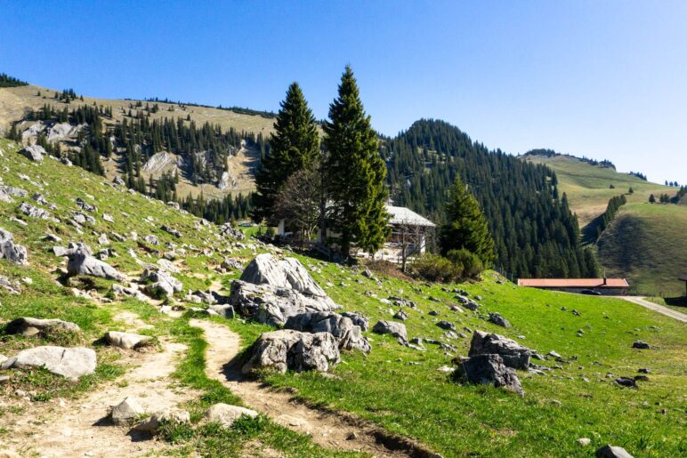 Da ist die Schönfeldhütte auch schon fast erreicht