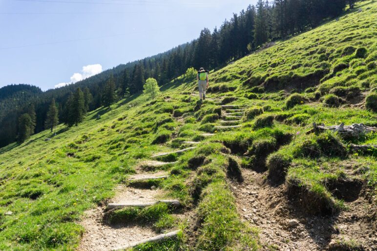 Über Treppen auf dem Wiesenweg hinauf