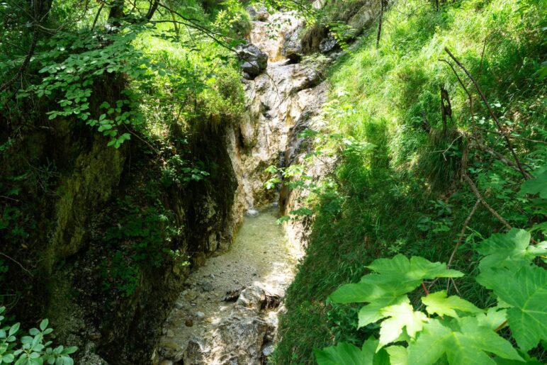 An der Brücke vereinigen sich der Speikbach und der Weißbach