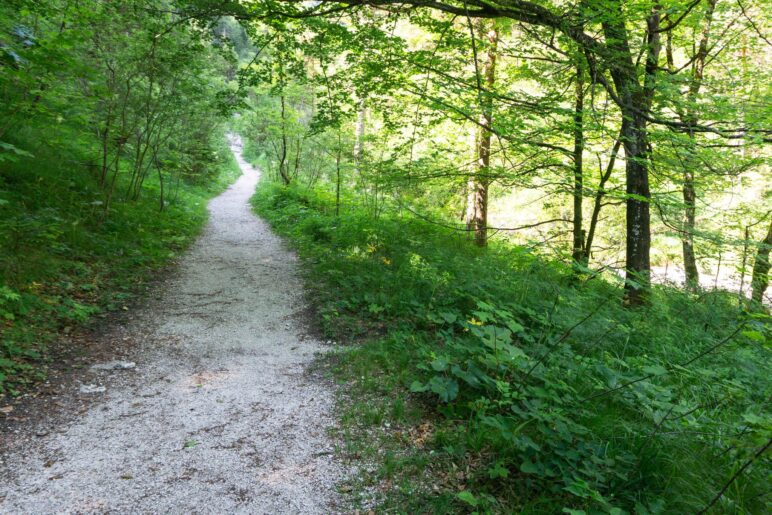 Der Weg ist hier noch breit und sehr leicht zu gehen
