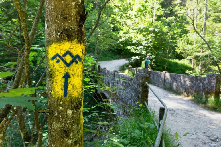 Über die Brücke überqueren wir den Weißbach. Wir wandern wieder einmal auf dem Salzalpensteig