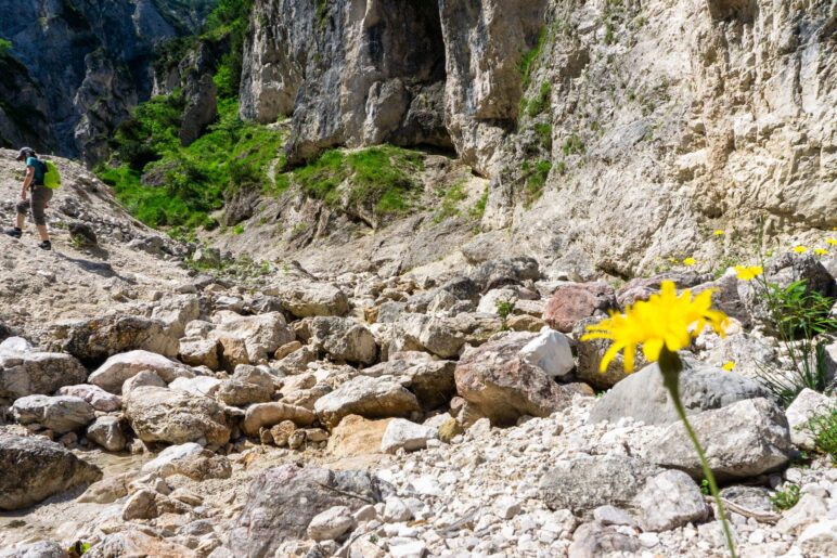 Auf dem Weg durch das Tal queren wir mehrfach den Bach