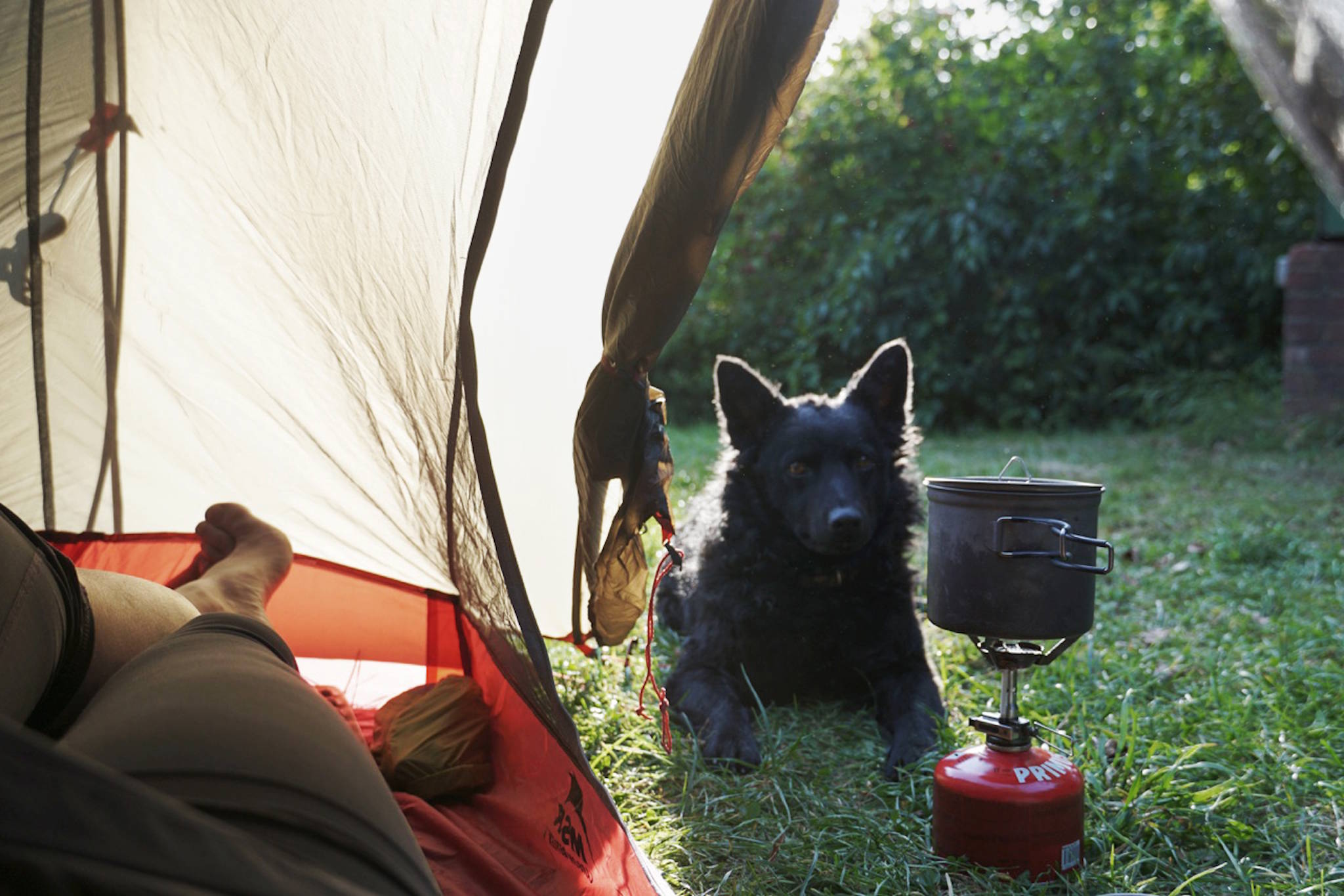 Zelten mit Hund auf der Weitwanderung – Foto: Romy Robst