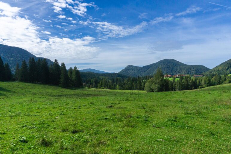 Ein Blick über die Wiese auf die BErge und den Ortsteil Berg