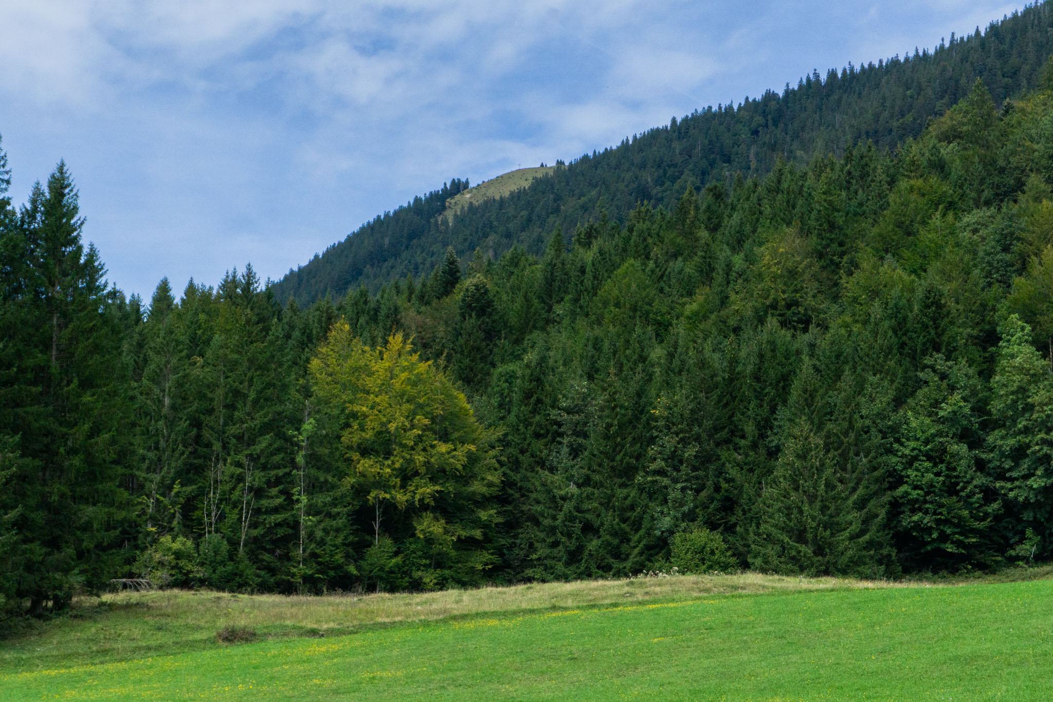 Ein Blick auf den Gipfel des Hirschhörnlkopfs