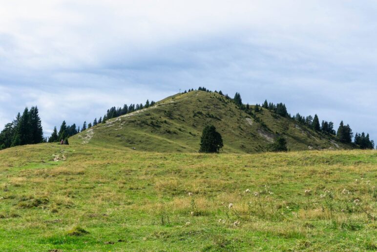 Der Weg zum Hirschhörnlkopf-Gipfel