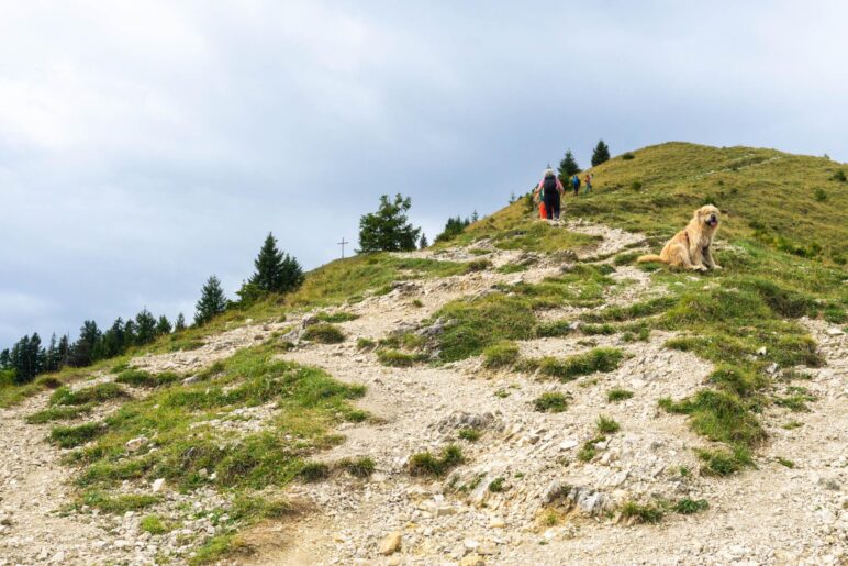 Auf dem Gipfelweg zum Hirschhörnlkopf