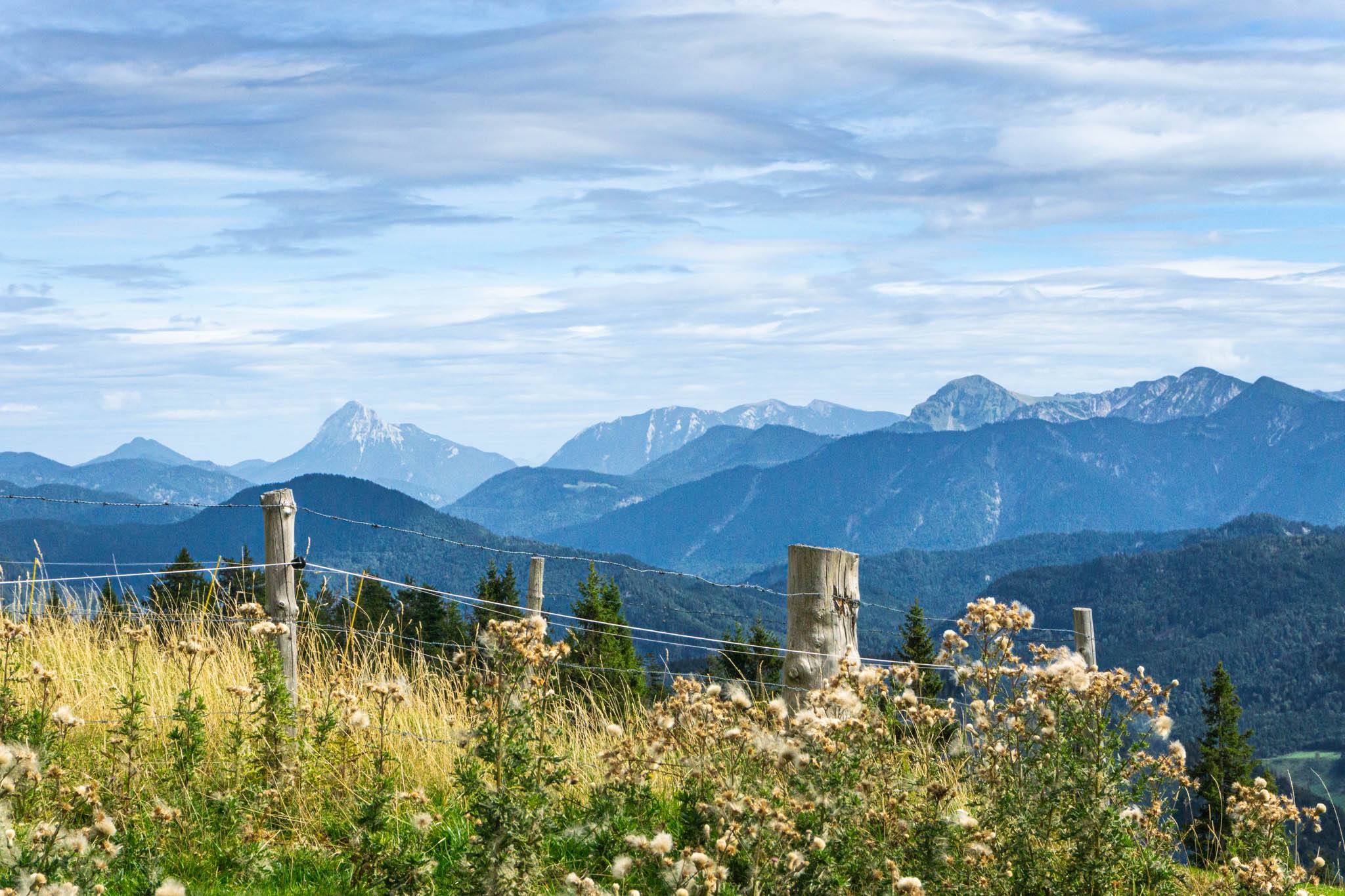 Bergblick mit dem markanten Felsgipfel des Guffert