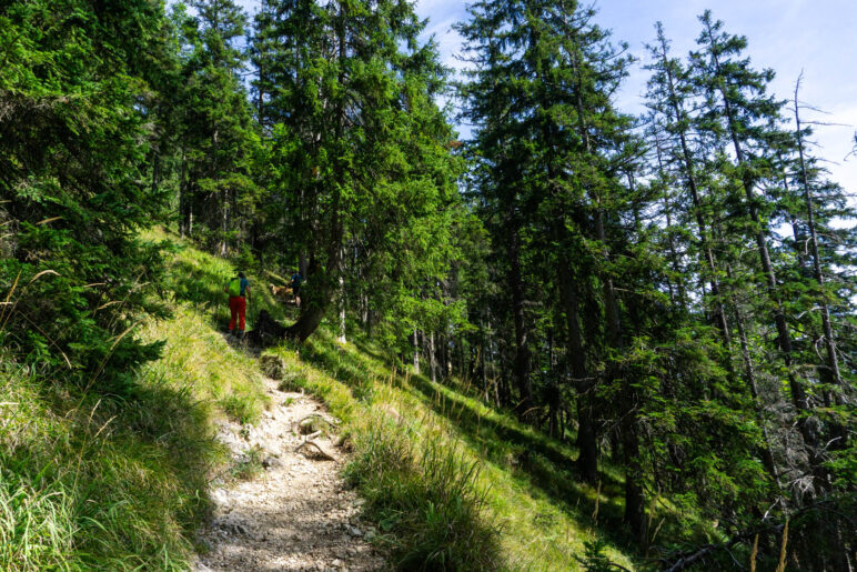 Im oberen Bereich wird der Steig etwas breiter und das Gelände offener