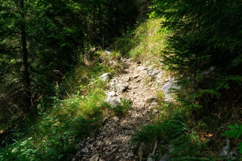 Manchmal ist der Weg ziemlich schmal