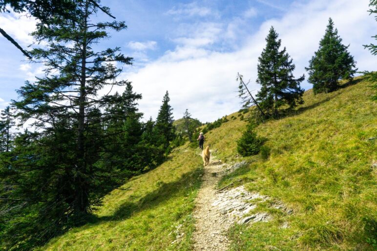 Auf dem Weg zur Pfundalm