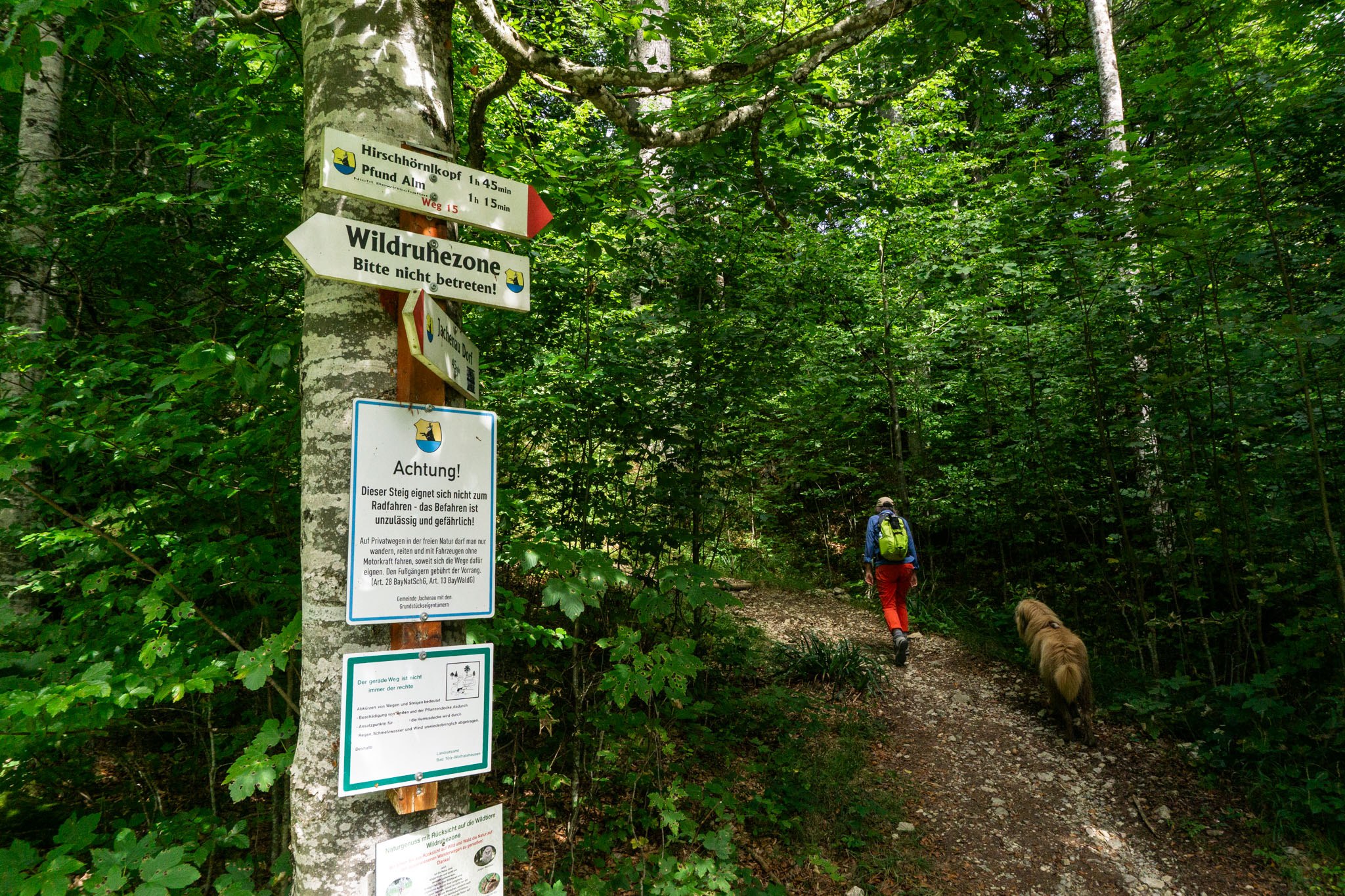 Hier beginnt der wilde Bergsteig