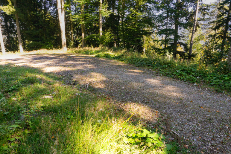 Auf dem Fahrweg im Wald. Der Abzweig zum Funkturm ist gegenüber, leicht links