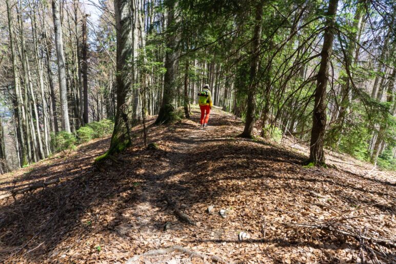 Auf dem breiten Bergrücken wandern wir bergab