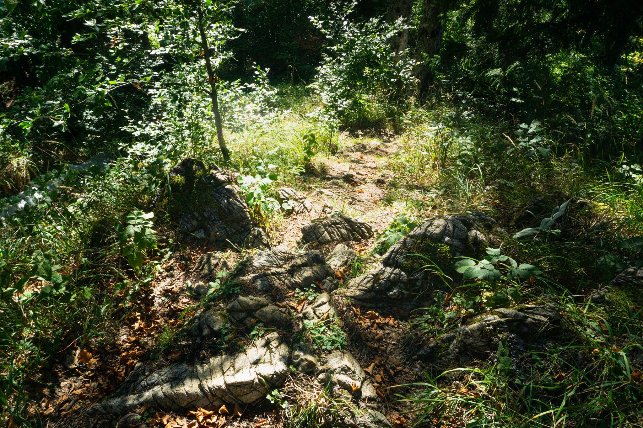 Der Einstieg in den Abstieg zum Schloss Ringberg