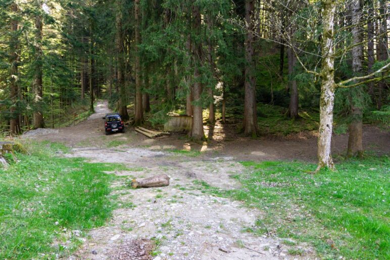 Sofort, nachdem wir den Wald betreten haben, biegen wir rechts ab