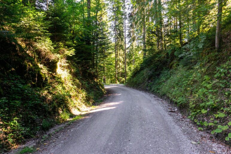 Auf der Straße durch den Wald vom Schloss hinunter nach Reitrain